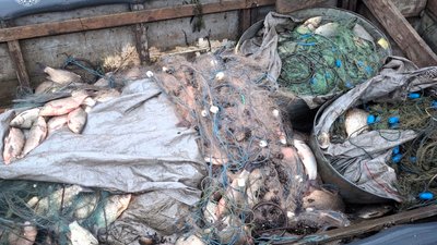 Наловили риби на понад 1,3 млн гривень збитків: на Полтавщині судитимуть двох чоловіків