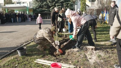 У Вінниці учні ліцею №29 заклали алею квітучих дерев на честь загиблих випускників