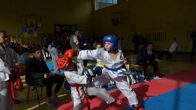 Черкаські спортсмени здобули низку медалей на турнірі з тхеквондо