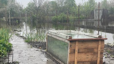 "Як на болоті вже стало": жителям Басів у Сумах досі не відкачали воду з дворів "Як на болоті вже стало": жителям Басів у Сумах досі не відкачали воду з дворів