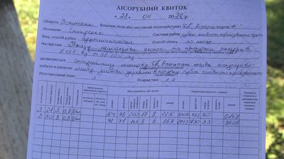 В селі на Волині люди проти вирубки дерев. Як це пояснюють лісівники В селі на Волині люди проти вирубки дерев. Як це пояснюють лісівники