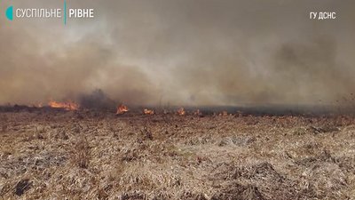 Пожежі в екосистемах Пожежі в екосистемах