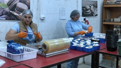 На Черкащині вирощують гриби ерінги На Черкащині вирощують гриби ерінги