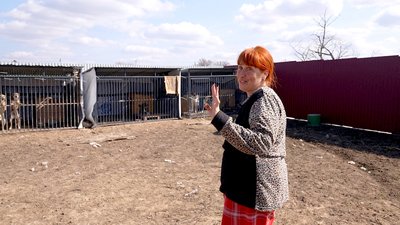 "Вию за домом". Волонтерка з Добропілля вивезла понад 400 тварин і облаштувала в евакуації притулок | ВІДЕОНОВИНИ "Вию за домом". Волонтерка з Добропілля вивезла понад 400 тварин і облаштувала в евакуації притулок | ВІДЕОНОВИНИ