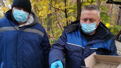 388 тисяч доз вакцини: на Полтавщині імунізують диких тварин від сказу 388 тисяч доз вакцини: на Полтавщині імунізують диких тварин від сказу