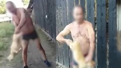 Бив металевою трубою та знімав відео. На Буковині розслідують випадок знущання з тварин