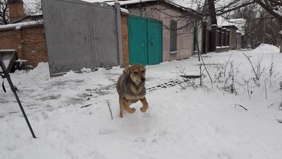13 машин, 310 тонн піску. Комунальники Кропивницького чистять дороги від снігу 13 машин, 310 тонн піску. Комунальники Кропивницького чистять дороги від снігу