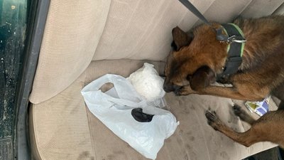В Одесі викрили наркоугруповання, яке організували прикордонники В Одесі викрили наркоугруповання, яке організували прикордонники