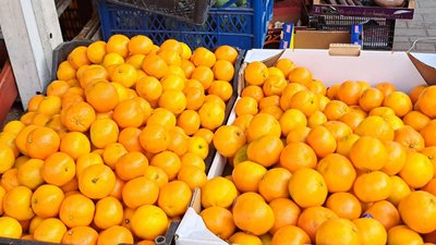 На Новий рік асортимент мандаринів на ринку Житомира може зменшитися