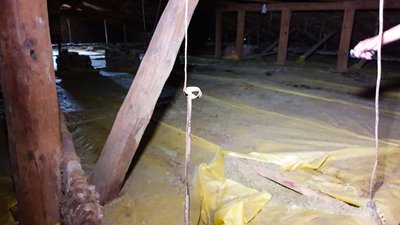 Кропивничанка просить перевірити школу, де вчаться її діти, на наявність грибка та плісняви Кропивничанка просить перевірити школу, де вчаться її діти, на наявність грибка та плісняви