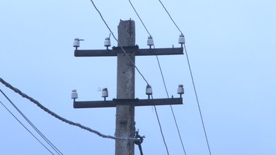 У селищі на Дніпропетровщині три місяці живуть без електрики У селищі на Дніпропетровщині три місяці живуть без електрики