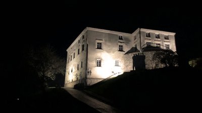 У Львівській галереї мистецтв показали підсвітку фасадів музеїв У Львівській галереї мистецтв показали підсвітку фасадів музеїв