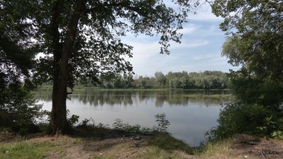 Залишити доступ до лісу та водойм: місцеві жителі проти розширення парку Беремицьке Залишити доступ до лісу та водойм: місцеві жителі проти розширення парку Беремицьке