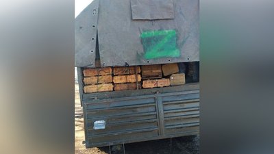 "Окупанту не сподобається" — на Миколаївщині прикордонники та морпіхи захопили трофеї