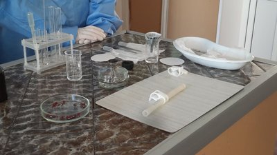 Вивчатимуть, як квасоля росте в космосі. Проєкт кропивницьких школярів відправиться на Міжнародну космічну станцію Вивчатимуть, як квасоля росте в космосі. Проєкт кропивницьких школярів відправиться на Міжнародну космічну станцію