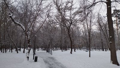 Зима, сніг