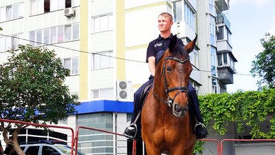 Експеримент почали: у Рівному може з'явитись кінна поліція Експеримент почали: у Рівному може з'явитись кінна поліція
