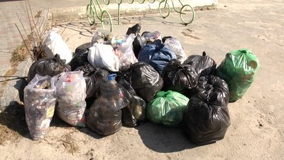 Кілька десятків житомирян долучилися до прибирання Гідропарку