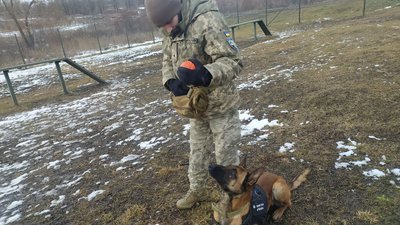 Кінолог Степан Вакуленко працює з Оссом впродовж двох років, лютий-2024. Фото: Суспільне Хмельницький Кінолог Степан Вакуленко працює з Оссом впродовж двох років, лютий-2024. Фото: Суспільне Хмельницький