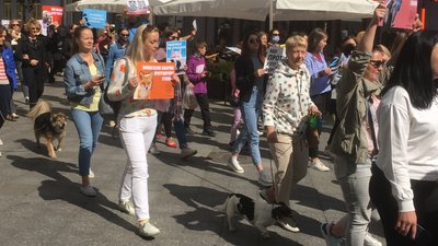 "Житомир за гуманність": в обласному центрі пройшов марш за права тварин "Житомир за гуманність": в обласному центрі пройшов марш за права тварин