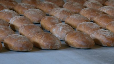 Ймовірно здорожчає ціна на хліб Ймовірно здорожчає ціна на хліб