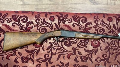 На Вінниччині чоловік застрелив собаку: справу розслідує поліція