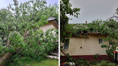 Дерево обвалилось на житловий будинок. Село Верхні Ворота