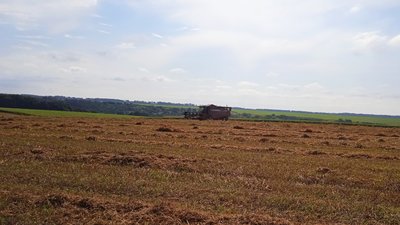 На Сумщині завершують жнива: обмолочено 80% від загальних площ На Сумщині завершують жнива: обмолочено 80% від загальних площ
