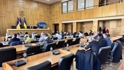В Ужгородській міськраді зняли з розгляду питання про скасування дозволу на екоострівець