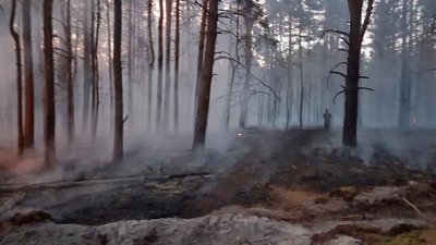 Житомирська поліція почала розслідування справи про підрив на міні автівки лісової охорони Житомирська поліція почала розслідування справи про підрив на міні автівки лісової охорони