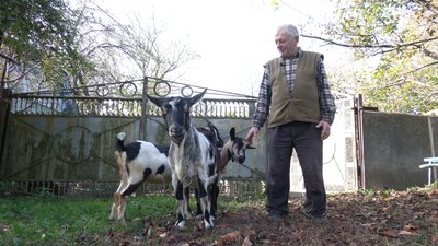 Богдан Стринаглюк живе у Соколівці Богдан Стринаглюк живе у Соколівці