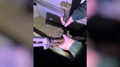Вогнепальна зброя, яку знайшли правоохоронці Вогнепальна зброя, яку знайшли правоохоронці