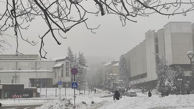туман, сніг, зимовий тернопіль
