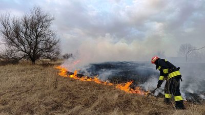 Вигоріло 17 гектарів. За добу на Кіровоградщині погасили 25 пожеж сухостою