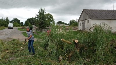 На Тернопільщині у громаді вітер повалив дерева На Тернопільщині у громаді вітер повалив дерева