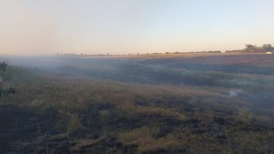 На Миколаївщині протягом доби зареєстровано 12 пожеж в екосистемах На Миколаївщині протягом доби зареєстровано 12 пожеж в екосистемах