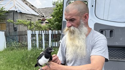 Поранене сороченя евакуювали з Краматорська