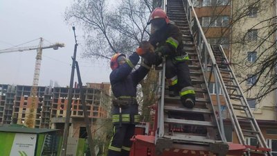 У Франківську надзвичайники врятували котика У Франківську надзвичайники врятували котика