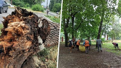 У Кропивницькому наслідки буревію усували три бригади комунальників і сотня рятувальників
