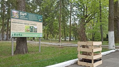 житомир, малин, дуби, акція, екологія, Шевченко