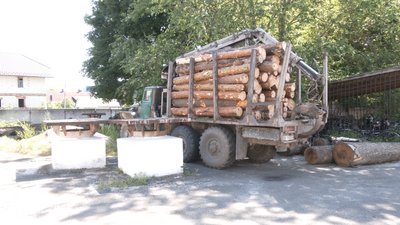 Відірвана рука Відірвана рука