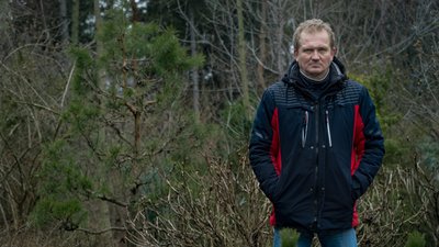 Підсніжник, крокус, гамамеліс та хімонант: у лютому у Дніпрі розквітли деякі рослини Підсніжник, крокус, гамамеліс та хімонант: у лютому у Дніпрі розквітли деякі рослини