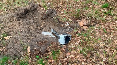 У громаді на Житомирщині знайшли в лісі крилату ракету, котра не розірвалася