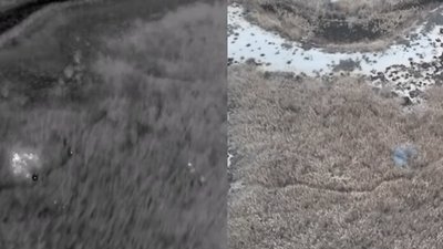 ДПСУ, військові, Великий Луг