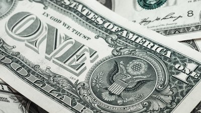 До Росії намагались незаконно вивести продукцію бджільництва