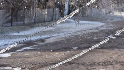 Обмерзання мереж внаслідок негоди