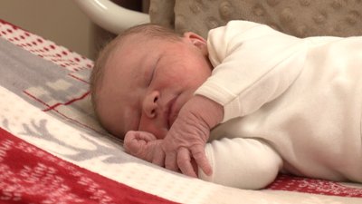 Луцький пологовий будинок, Волинський перинатальний центр