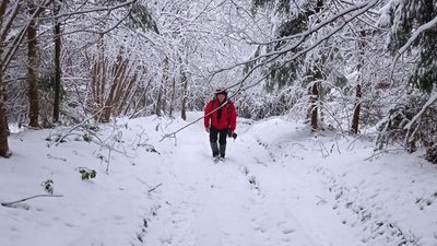 Знайшли снігохід: на Закарпатті продовжують пошуки заблукалого у горах чоловіка Знайшли снігохід: на Закарпатті продовжують пошуки заблукалого у горах чоловіка