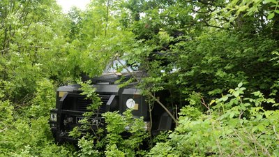Житомирські десантники беруть участь у багатонаціональних військових навчаннях Saber Guardian-2021 Житомирські десантники беруть участь у багатонаціональних військових навчаннях Saber Guardian-2021