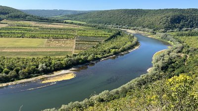 погода, тернопіль, гідрометцентр, хмарно, без опадів, без дощу